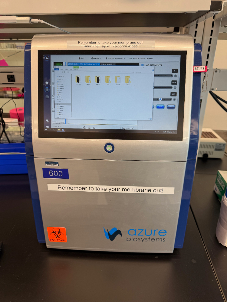 Image of Azure Biosystems Model 600 Imaging System